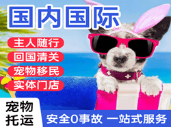 合肥新桥机场快递国际宠物托运 【国